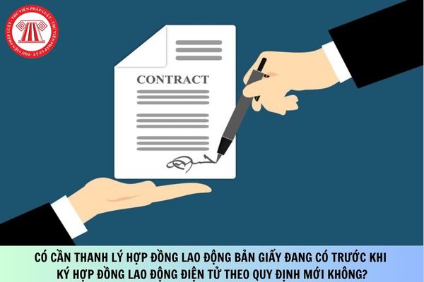Pháp luật