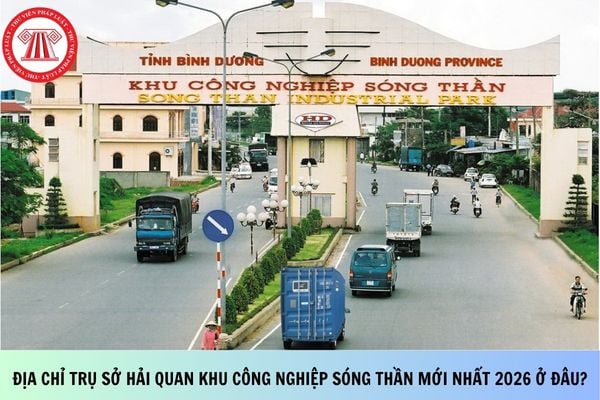 Pháp luật