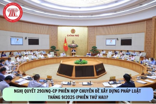 Pháp luật