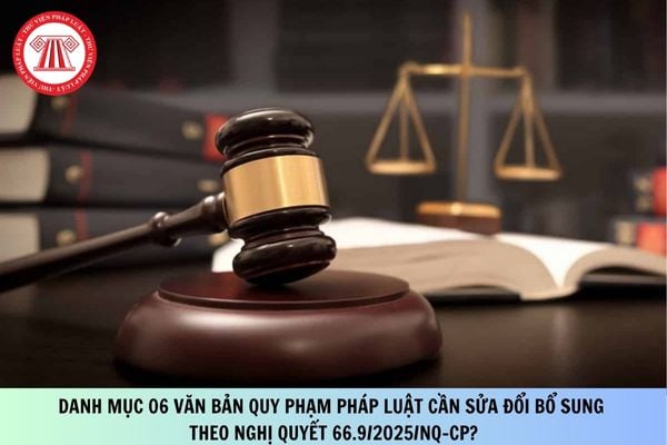 Pháp luật