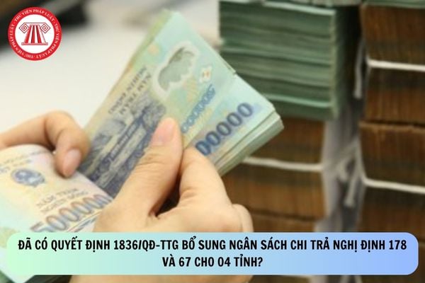 Pháp luật