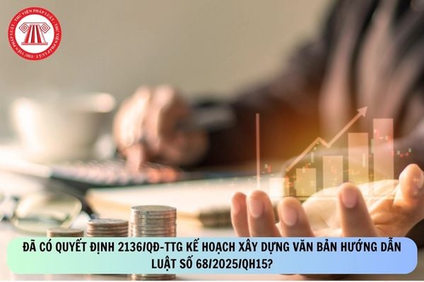 Pháp luật