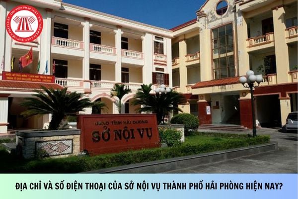 Pháp luật