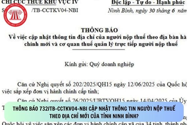 Pháp luật