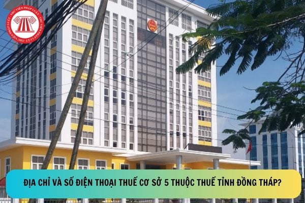 Pháp luật