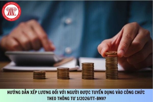 Pháp luật