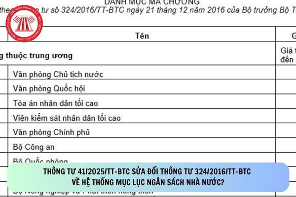 Pháp luật