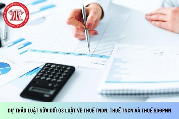 Pháp luật