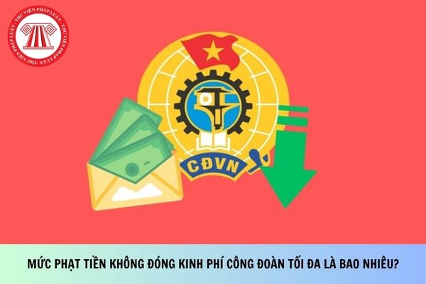 Pháp luật