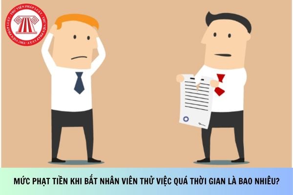 Pháp luật