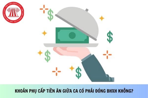 Pháp luật