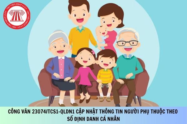 Pháp luật