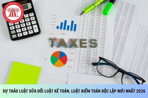 Pháp luật