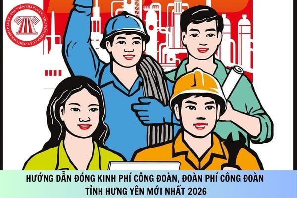 Pháp luật