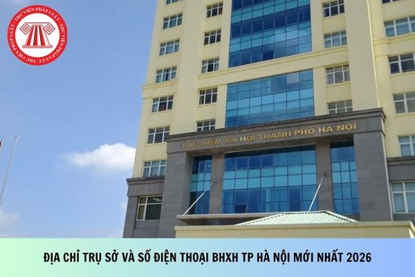 Pháp luật