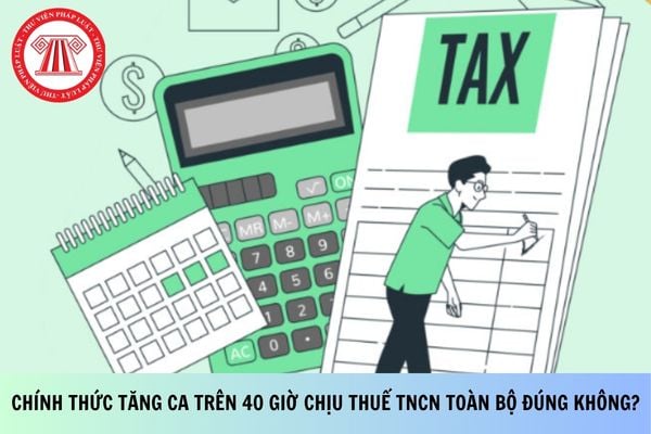 Pháp luật