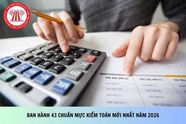 Pháp luật
