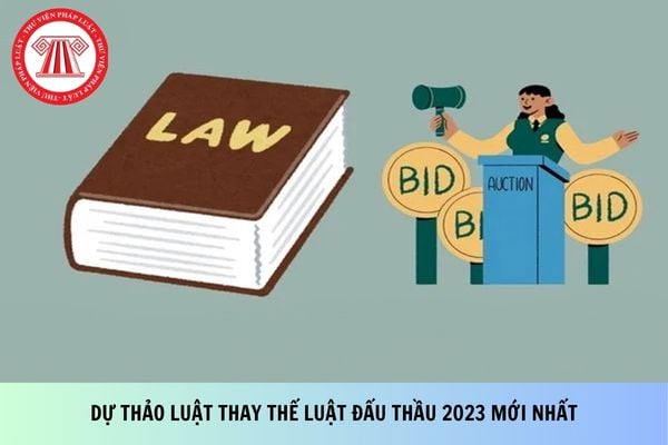 Pháp luật
