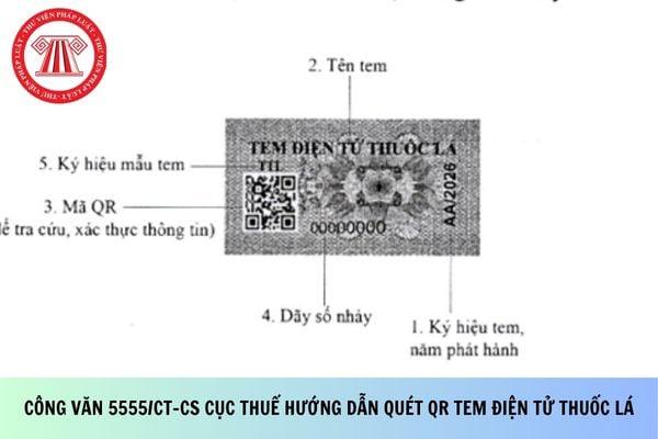 Công văn 5555/CT-CS Cục Thuế hướng dẫn quét QR tem điện tử thuốc lá?