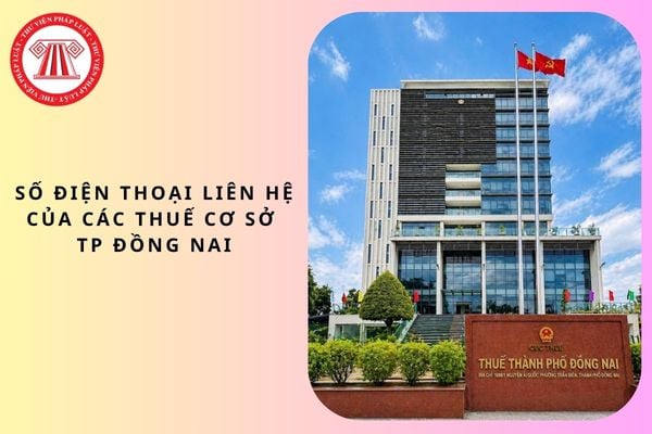 Pháp luật