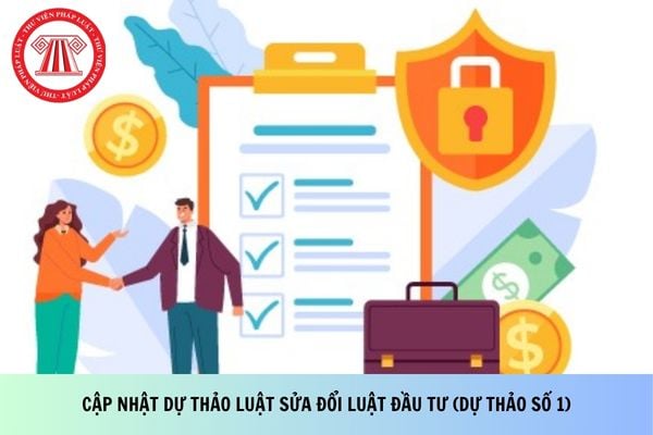 Pháp luật