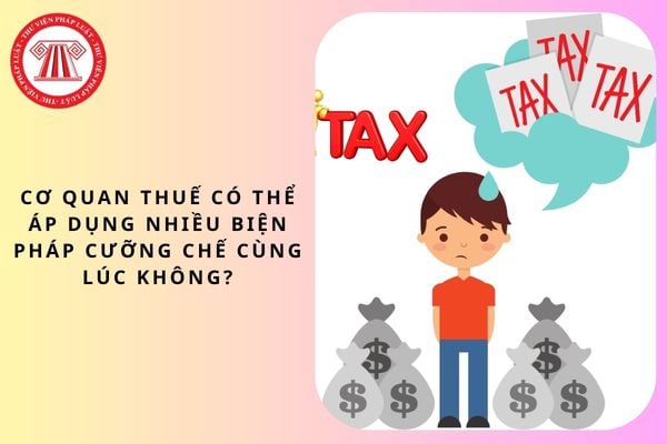 Pháp luật
