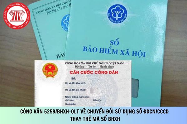 Công văn 5259/BHXH-QLT về chuyển đổi sử dụng số ĐDCN/CCCD thay thế mã số BHXH như thế nào?