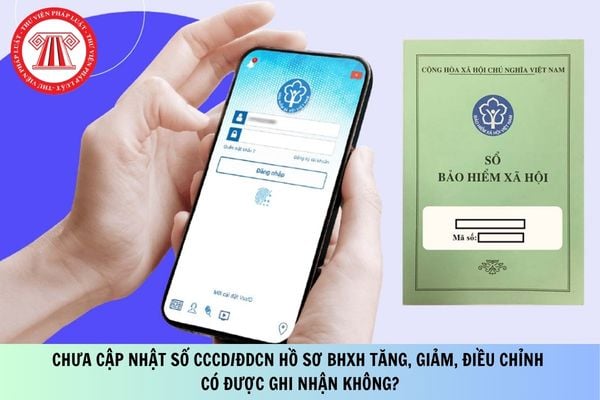Pháp luật
