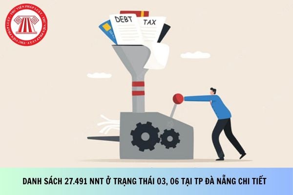 Pháp luật