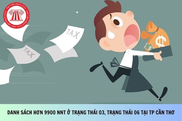 Pháp luật