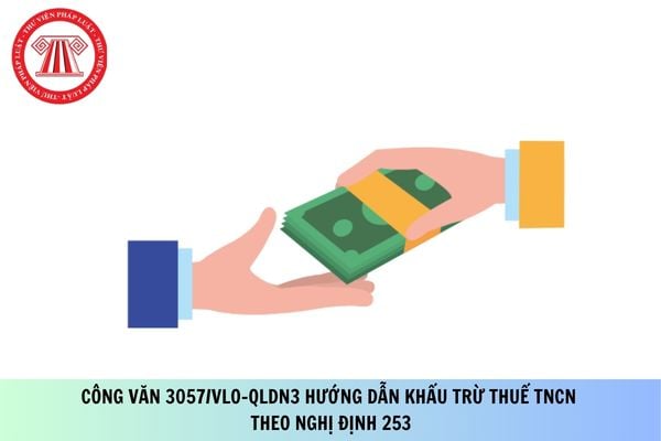 Pháp luật