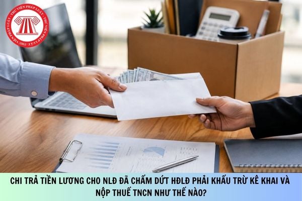Pháp luật