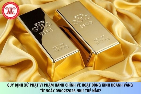 Pháp luật