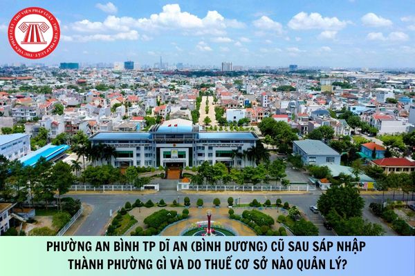 Pháp luật