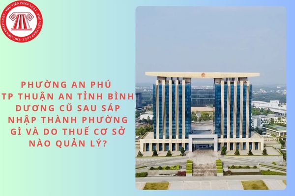 Pháp luật