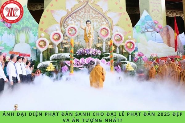 Pháp luật