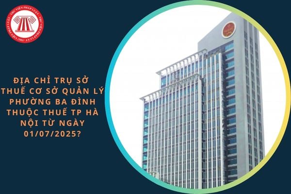 Pháp luật