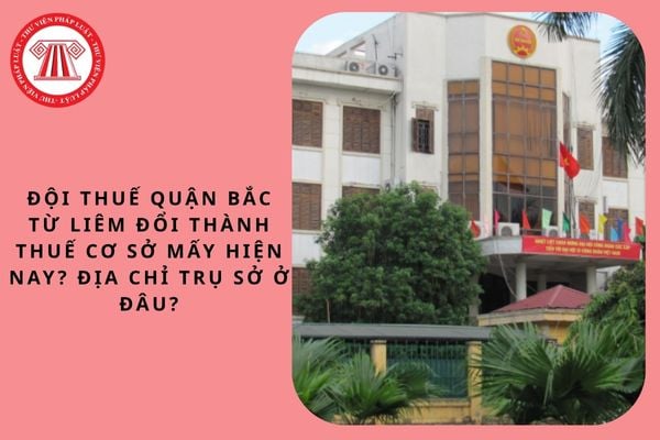 Pháp luật
