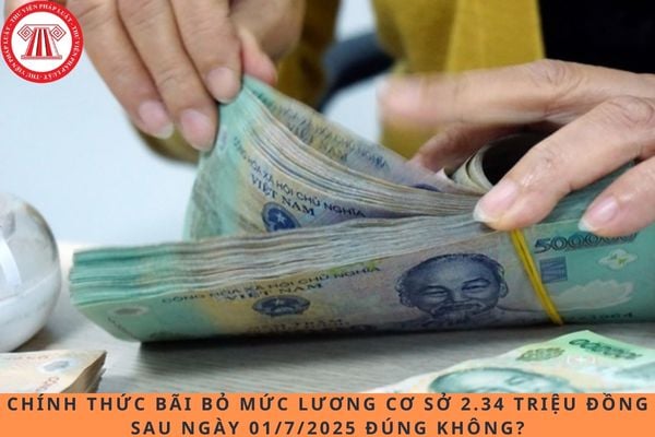 Pháp luật