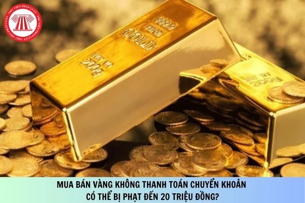 Pháp luật