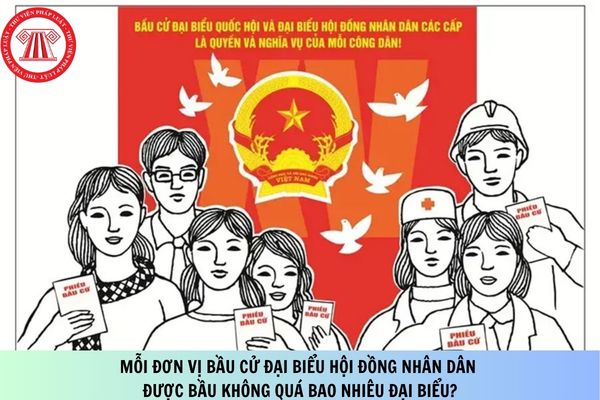 Pháp luật