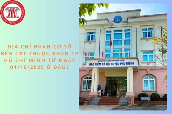 Pháp luật