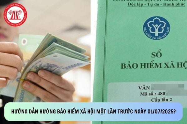 Pháp luật