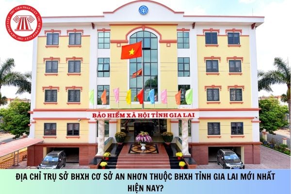 Pháp luật