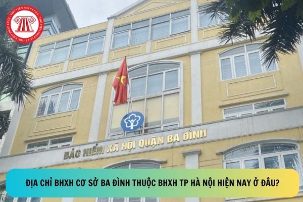 Pháp luật