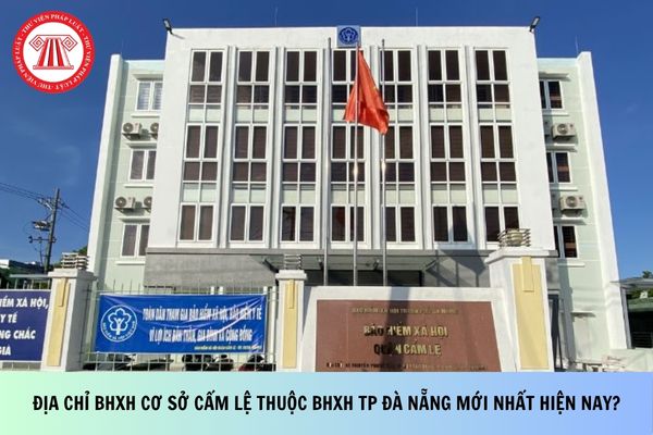 Pháp luật