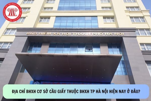 Pháp luật