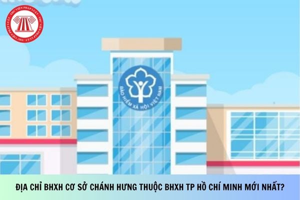 Pháp luật