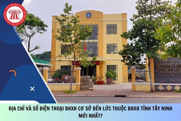 Pháp luật