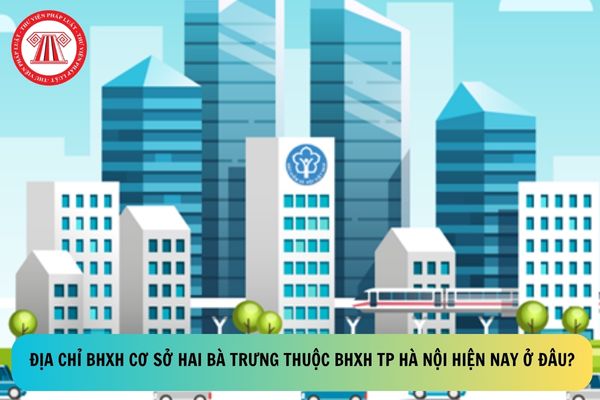 Pháp luật